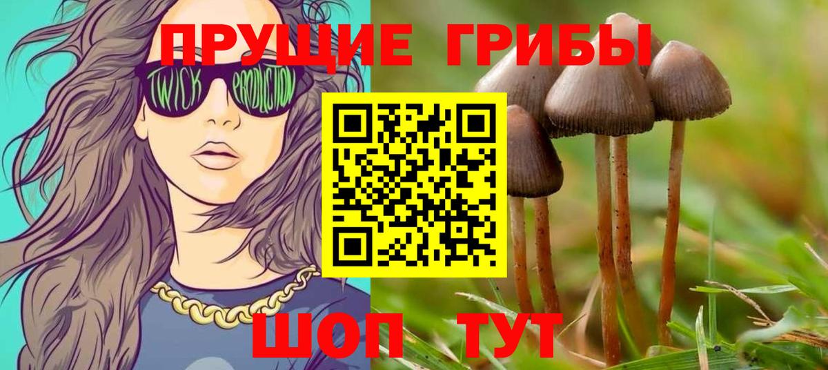 Галлюциногенные грибы прущие грибы Малоярославец