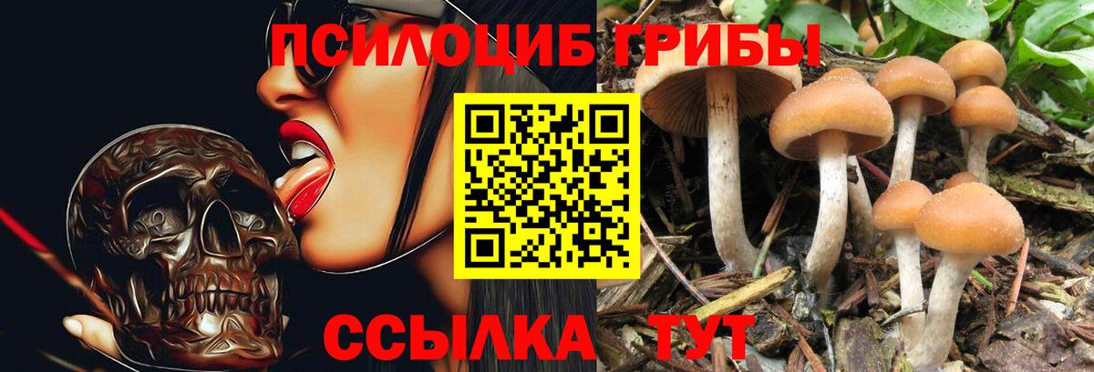 Малоярославец  Псилоцибиновые грибы GOLDEN TEACHER  Вход с VPN 